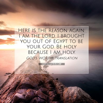 Picture 07 - Leviticus 11:45 GW - Here is the reason again: I am the Lord. I - Bible Verse Picture