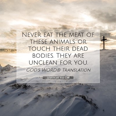 Picture 07 - Leviticus 11:8 GW - Never eat the meat of these animals or touch - Bible Verse Picture