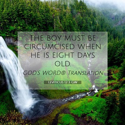 Picture 07 - Leviticus 12:3 GW - The boy must be circumcised when he is eight days - Bible Verse Picture