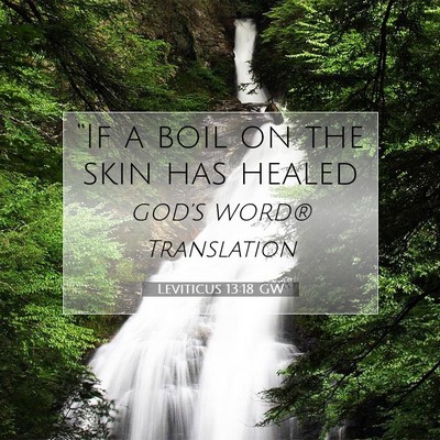 Picture 07 - Leviticus 13:18 GW - “If a boil on the skin has - Bible Verse Picture
