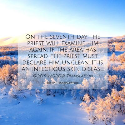 Picture 07 - Leviticus 13:27 GW - On the seventh day the priest will examine him - Bible Verse Picture