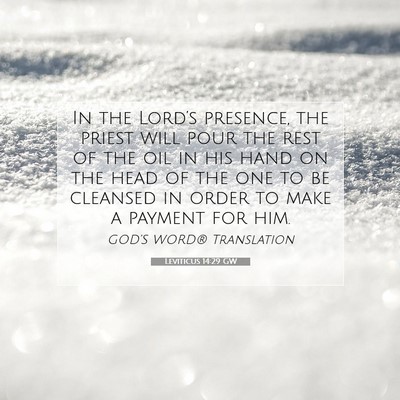 Picture 07 - Leviticus 14:29 GW - In the Lord’s presence, the priest will pour - Bible Verse Picture