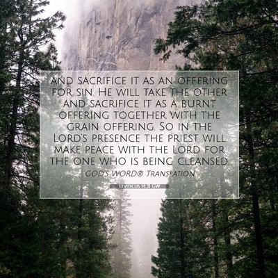 Picture 07 - Leviticus 14:31 GW - and sacrifice it as an offering for sin. He will - Bible Verse Picture