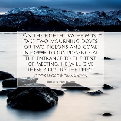 Picture 07 - Leviticus 15:14 GW - On the eighth day he must take two mourning doves - Bible Verse Picture