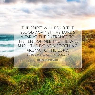 Picture 07 - Leviticus 17:6 GW - The priest will pour the blood against the - Bible Verse Picture