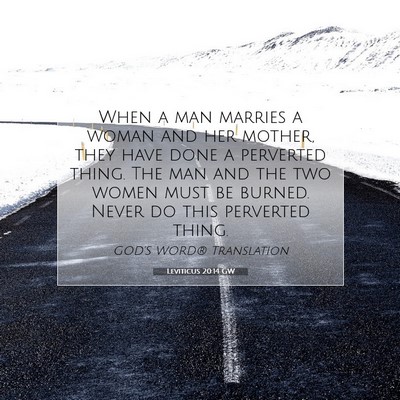 Picture 07 - Leviticus 20:14 GW - When a man marries a woman and her mother, they - Bible Verse Picture