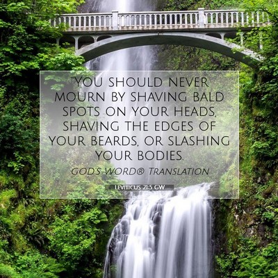 Picture 07 - Leviticus 21:5 GW - “You should never mourn by shaving bald spots - Bible Verse Picture