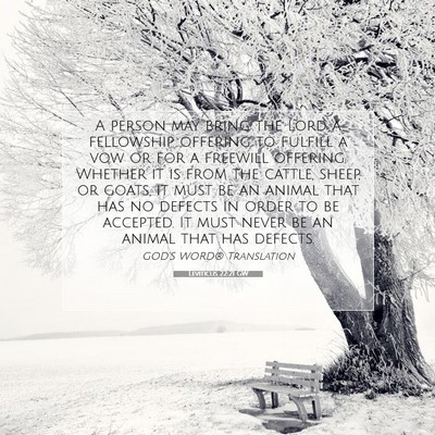 Picture 07 - Leviticus 22:21 GW - A person may bring the Lord a fellowship offering - Bible Verse Picture