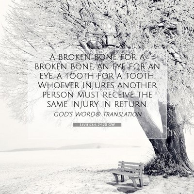 Picture 07 - Leviticus 24:20 GW - a broken bone for a broken bone, an eye for an - Bible Verse Picture