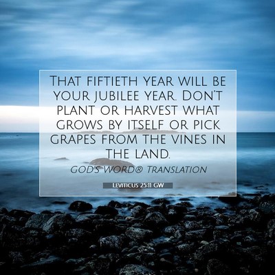 Picture 07 - Leviticus 25:11 GW - That fiftieth year will be your jubilee year. - Bible Verse Picture