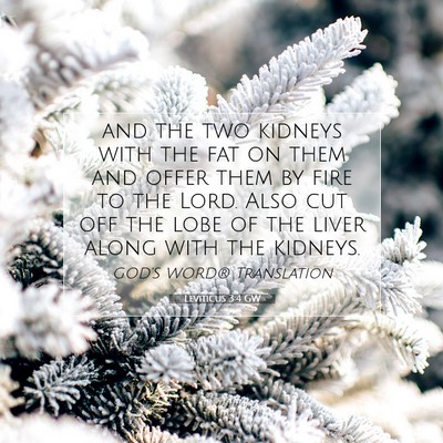 Picture 07 - Leviticus 3:4 GW - and the two kidneys with the fat on them and - Bible Verse Picture
