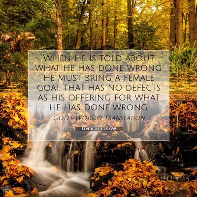 Picture 07 - Leviticus 4:28 GW - When he is told about what he has done wrong, he - Bible Verse Picture