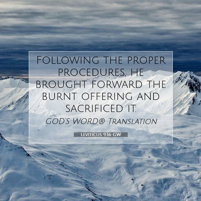 Picture 07 - Leviticus 9:16 GW - Following the proper procedures, he brought - Bible Verse Picture