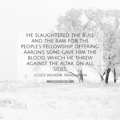 Picture 07 - Leviticus 9:18 GW - He slaughtered the bull and the ram for the - Bible Verse Picture