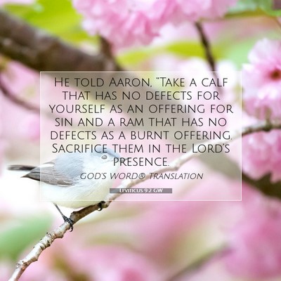 Picture 07 - Leviticus 9:2 GW - He told Aaron, “Take a calf that has no defects - Bible Verse Picture