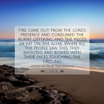 Picture 07 - Leviticus 9:24 GW - Fire came out from the Lord’s presence and - Bible Verse Picture