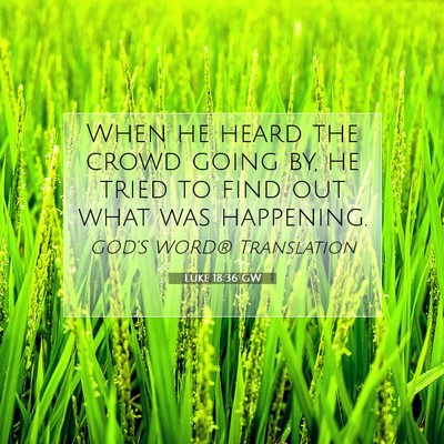 Picture 07 - Luke 18:36 GW - When he heard the crowd going by, he tried to - Bible Verse Picture