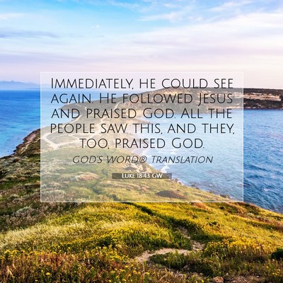 Picture 07 - Luke 18:43 GW - Immediately, he could see again. He followed - Bible Verse Picture