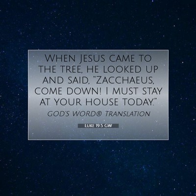 Picture 07 - Luke 19:5 GW - When Jesus came to the tree, he looked up and - Bible Verse Picture