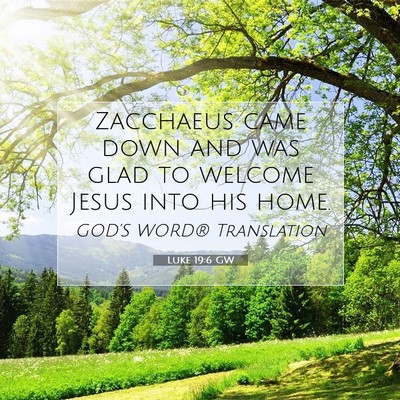 Picture 07 - Luke 19:6 GW - Zacchaeus came down and was glad to welcome Jesus - Bible Verse Picture