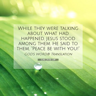 Picture 07 - Luke 24:36 GW - While they were talking about what had happened, - Bible Verse Picture