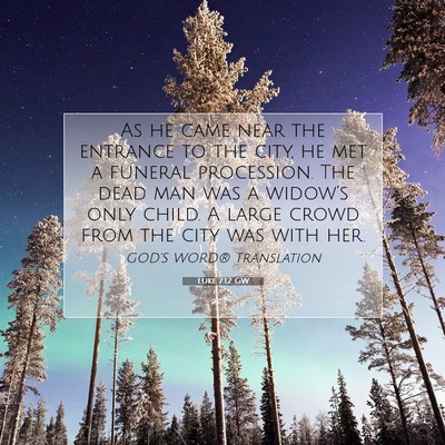 Picture 07 - Luke 7:12 GW - As he came near the entrance to the city, he met - Bible Verse Picture