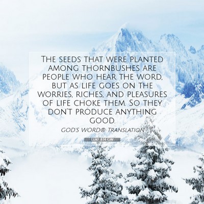 Picture 07 - Luke 8:14 GW - The seeds that were planted among thornbushes are - Bible Verse Picture