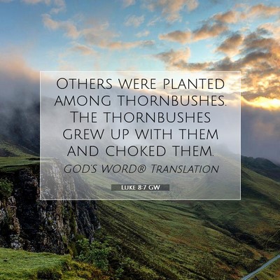 Picture 07 - Luke 8:7 GW - Others were planted among thornbushes. The - Bible Verse Picture