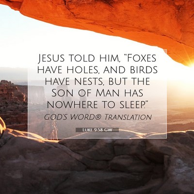 Picture 07 - Luke 9:58 GW - Jesus told him, “Foxes have holes, and birds - Bible Verse Picture