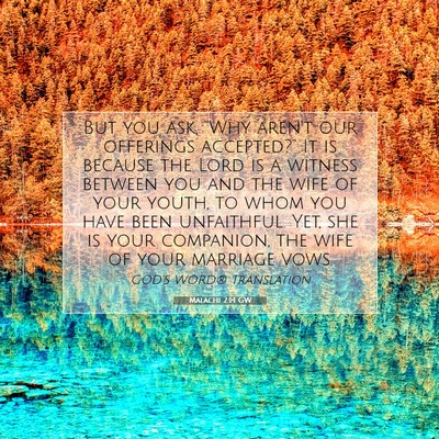 Picture 07 - Malachi 2:14 GW - But you ask, “Why aren’t our offerings - Bible Verse Picture