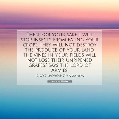 Picture 07 - Malachi 3:11 GW - Then, for your sake, I will stop insects from - Bible Verse Picture