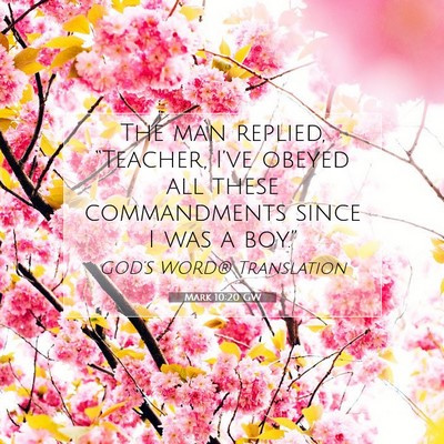 Picture 07 - Mark 10:20 GW - The man replied, “Teacher, I’ve obeyed all - Bible Verse Picture