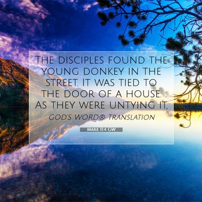 Picture 07 - Mark 11:4 GW - The disciples found the young donkey in the - Bible Verse Picture
