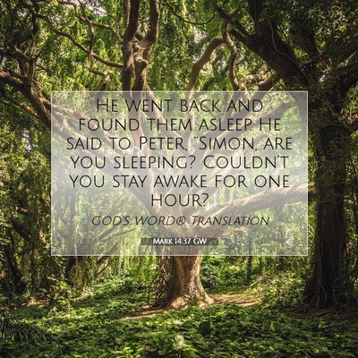 Picture 07 - Mark 14:37 GW - He went back and found them asleep. He said to - Bible Verse Picture