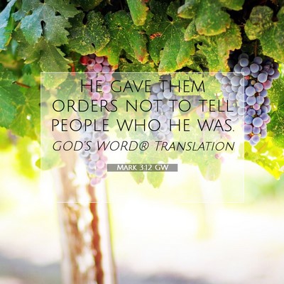 Picture 07 - Mark 3:12 GW - He gave them orders not to tell people who he - Bible Verse Picture