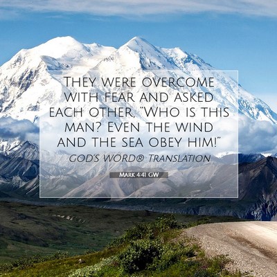 Picture 07 - Mark 4:41 GW - They were overcome with fear and asked each - Bible Verse Picture