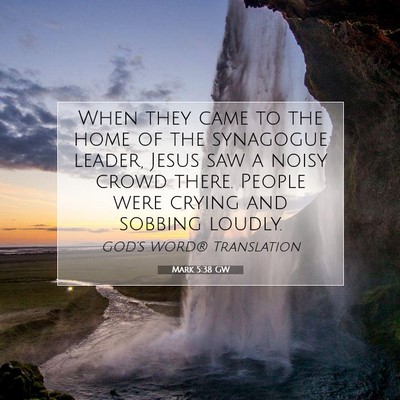Picture 07 - Mark 5:38 GW - When they came to the home of the synagogue - Bible Verse Picture