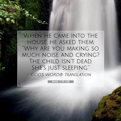 Picture 07 - Mark 5:39 GW - When he came into the house, he asked them, - Bible Verse Picture