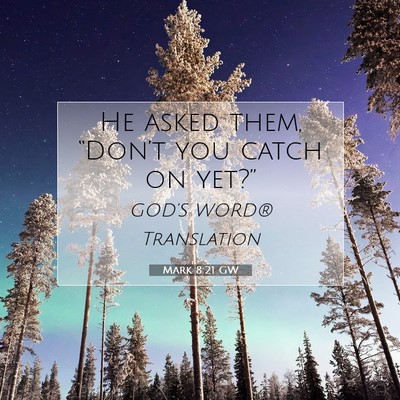 Picture 07 - Mark 8:21 GW - He asked them, “Don’t you catch on - Bible Verse Picture