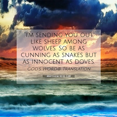 Picture 07 - Matthew 10:16 GW - “I’m sending you out like sheep among wolves. - Bible Verse Picture