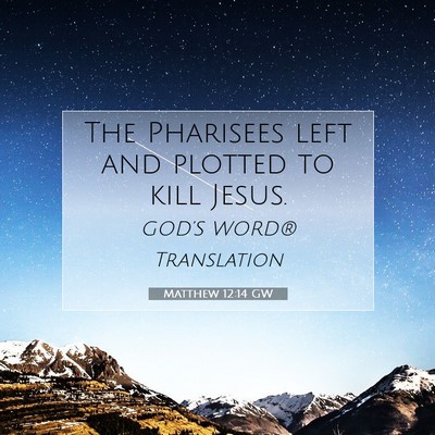 Picture 07 - Matthew 12:14 GW - The Pharisees left and plotted to kill - Bible Verse Picture