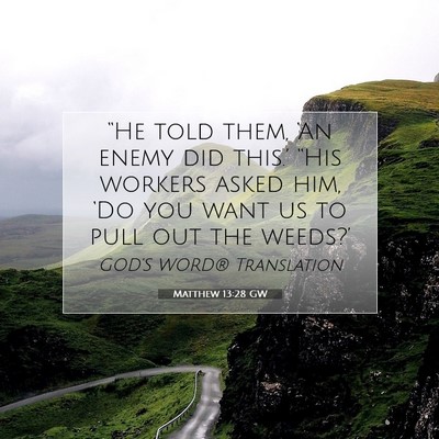 Picture 07 - Matthew 13:28 GW - “He told them, ‘An enemy did this.’ “His - Bible Verse Picture