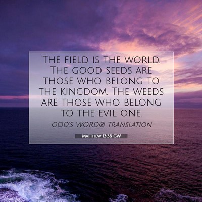 Picture 07 - Matthew 13:38 GW - The field is the world. The good seeds are those - Bible Verse Picture
