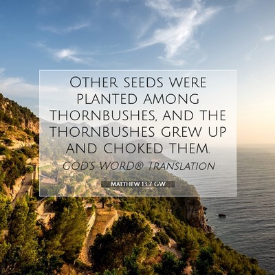 Picture 07 - Matthew 13:7 GW - Other seeds were planted among thornbushes, and - Bible Verse Picture