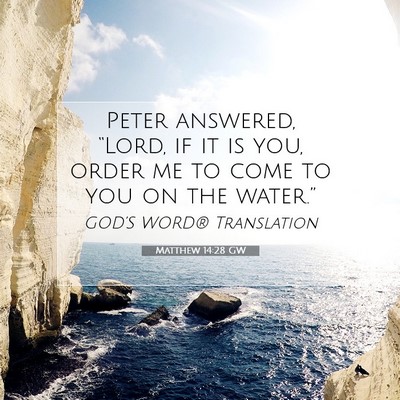 Picture 07 - Matthew 14:28 GW - Peter answered, “Lord, if it is you, order me - Bible Verse Picture