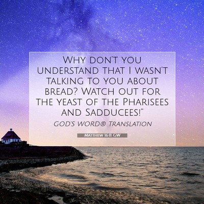 Picture 07 - Matthew 16:11 GW - Why don’t you understand that I wasn’t - Bible Verse Picture