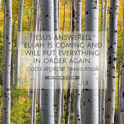 Picture 07 - Matthew 17:11 GW - Jesus answered, “Elijah is coming and will put - Bible Verse Picture