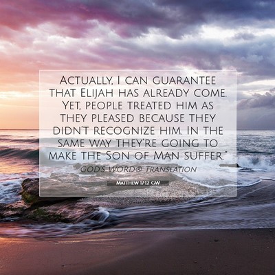 Picture 07 - Matthew 17:12 GW - Actually, I can guarantee that Elijah has already - Bible Verse Picture