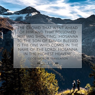 Picture 07 - Matthew 21:9 GW - The crowd that went ahead of him and that - Bible Verse Picture
