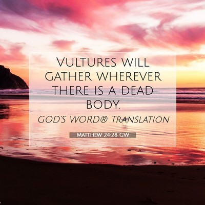 Picture 07 - Matthew 24:28 GW - Vultures will gather wherever there is a dead - Bible Verse Picture
